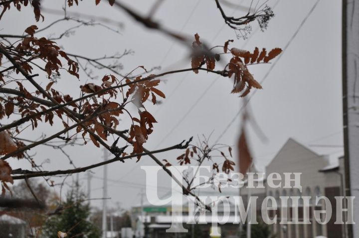 Татарстанда томан, кар һәм -6 градуска кадәр салкын булыр дип көтелә