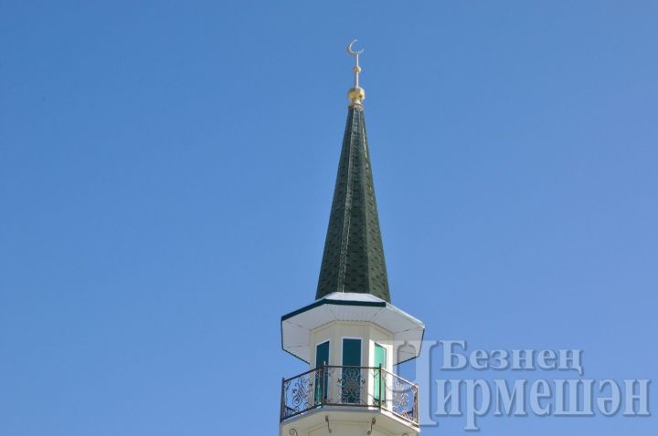 Хәләл дару, тәм-томнар нинди була?