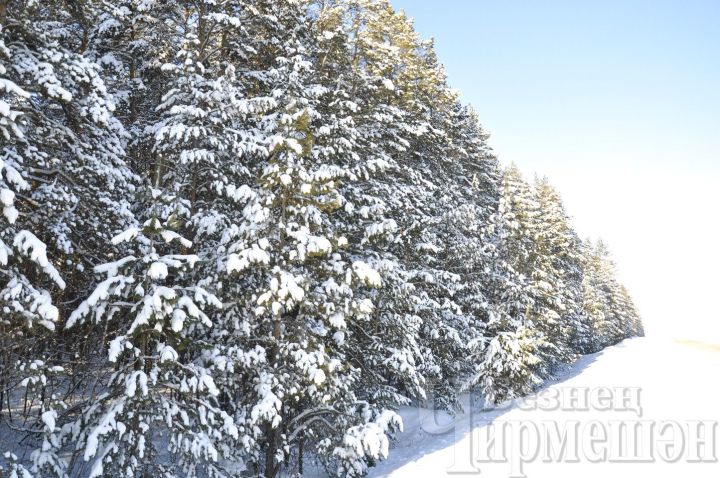 Татарстанда һава температурасы янә — 29 градуска кадәр төшәчәк