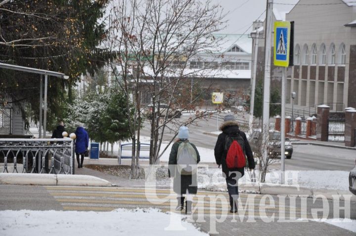 В Татарстане проходит операция «Пешеход»