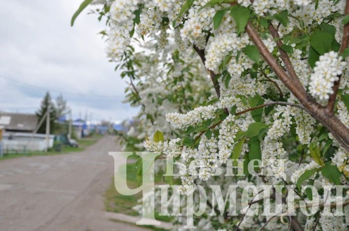 В Татарстане местами возможен град