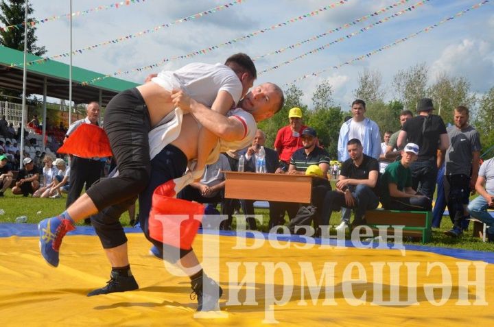 На сабантуях в селах Черемшанского района батырами стали три Ильмира
