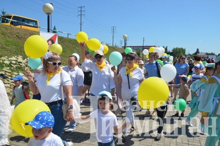 В Черемшане организовали веселый праздник для детей