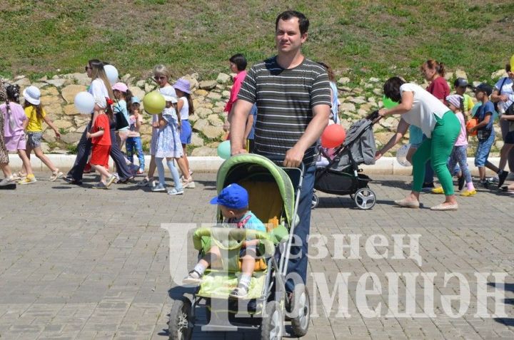 Черемшанские автоинспектора в июле будут чаще выезжать в рейды
