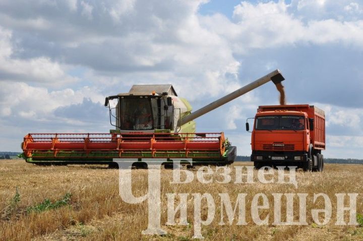 Комбайнерам «ЧЕРЕМШАНАГРО» вкусный обед привозят прямо в поле