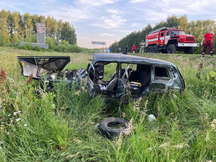 В Черемшанском районе произошло ДТП: погиб человек