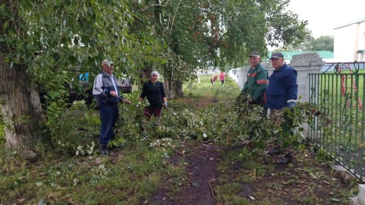 В Старом Утямыше сильный ветер повалил деревья