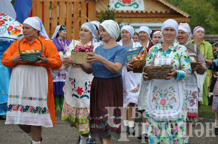 Чирмешәндәге Суган бәйрәме кунаклары бездәге зур-зур суганнардан хәйран калган