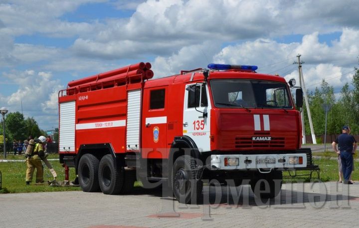 В Черемшанском районе сократилось число пожаров