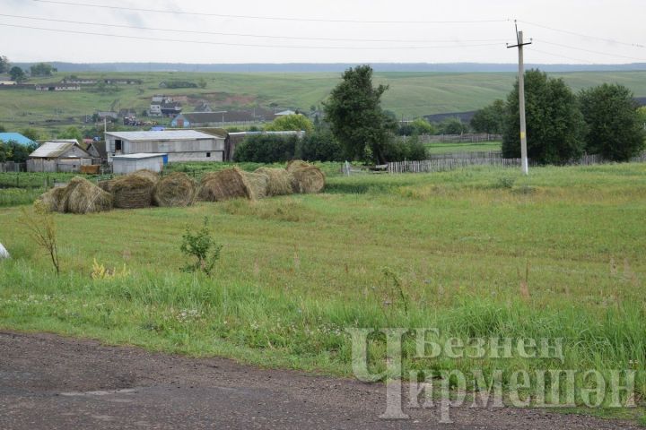 Җомга көнне Татарстанда кабат яңгырлар ява