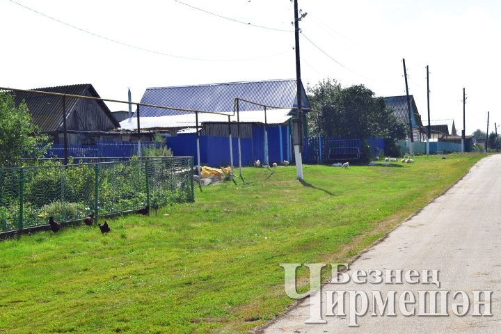 В Старых Кутушах вода есть всегда