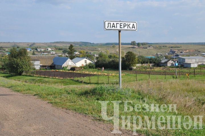 Лагерка авылында кабакны аеруча яраталар