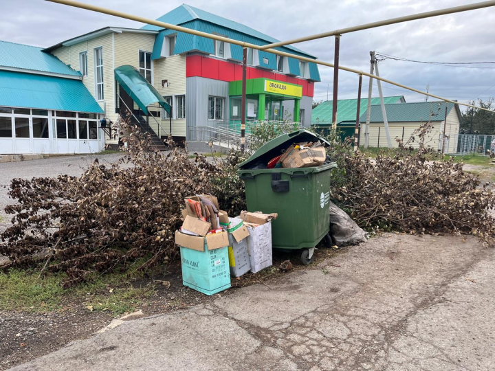 На улицах Черемшана появились несанкционированные свалки