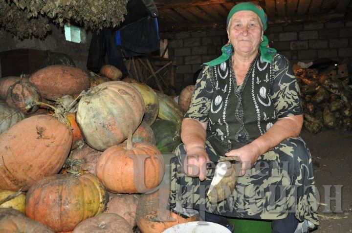 Семья Зиятдиновых из села Амирово посадила 27 ведер картофеля и выкопала 600