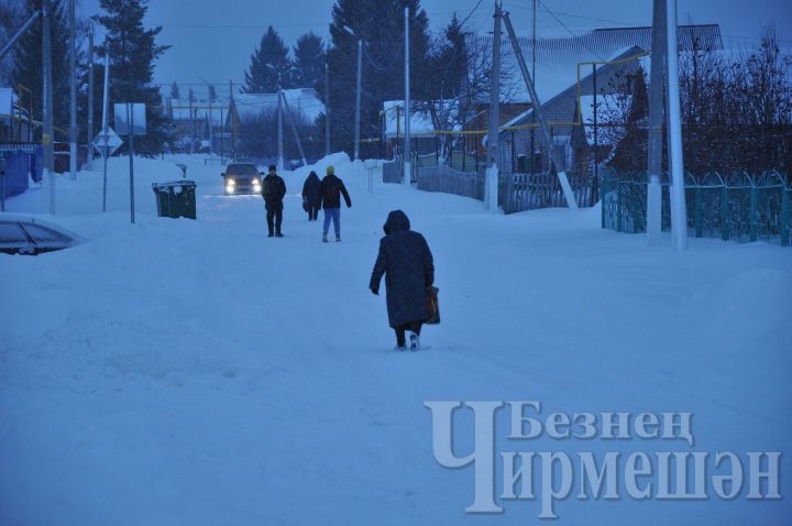 Ни өчен кешеләр кулларын болгап йөри?