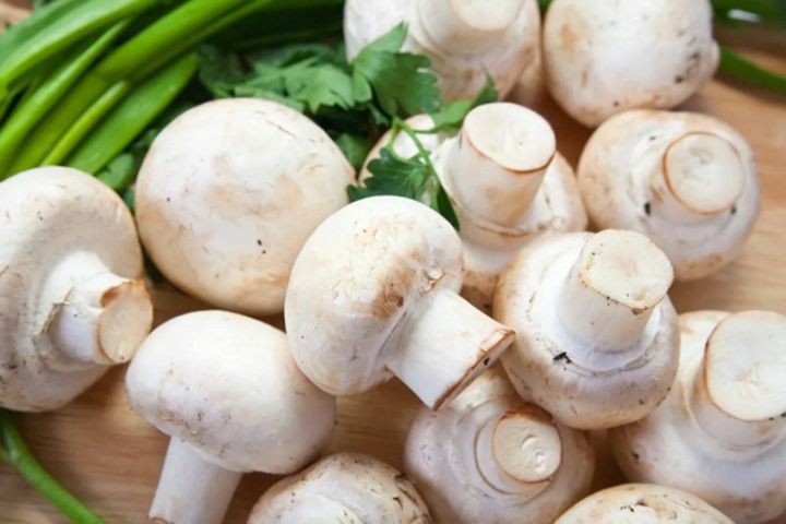 Балык булмаса шампиньон кулланыгыз