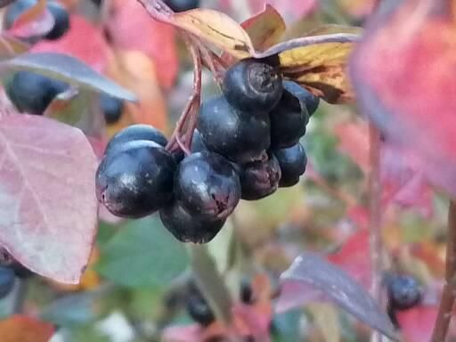 15 октябрьгә һава торышы