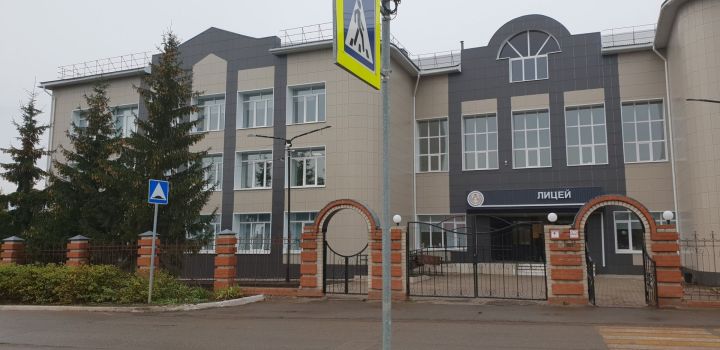 В Черемшанском лицее учатся и дети из окрестных сел