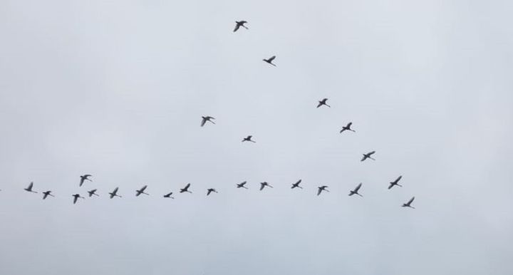 10 ноябрьгә һава торышы