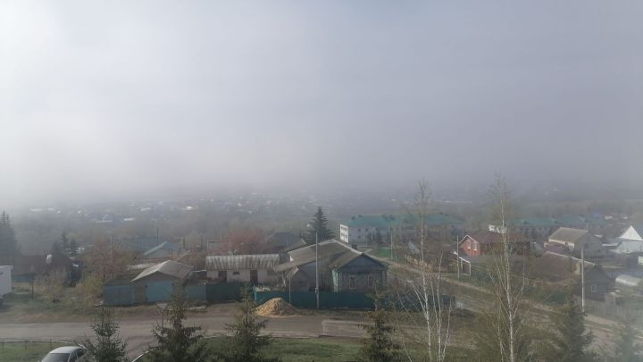 12 ноябрьгә һава торышы