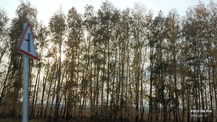 1 декабрьгә һава торышы