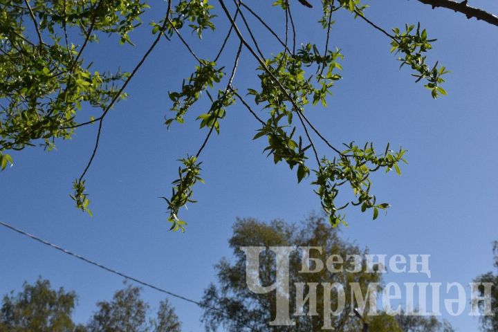 24 апрельгә һава торышы
