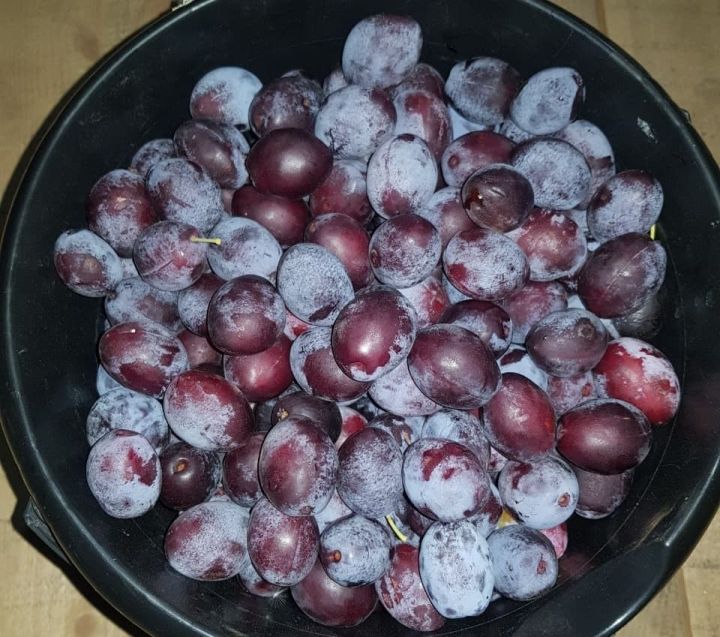 Рецепт сливового варенья по-грузински