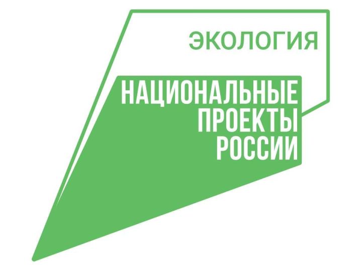 Татарстан – лидер экологических инициатив: итоги участия в национальном проекте «Экологическое благополучие» в 2025 году