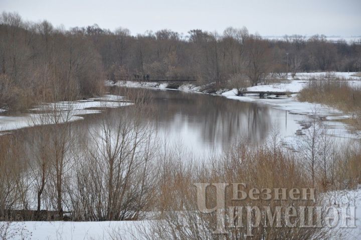 За сутки вода в реках Татарстана поднялась до 25 сантиметров