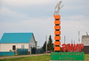 Әмир авылы балалары Кырлайга җыена