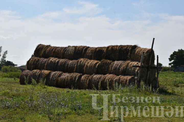 10 июльгә һава торышы