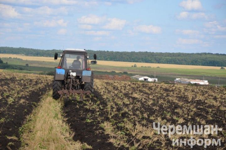 День Фотия Поветенного: обычаи, приметы и запреты 25 августа