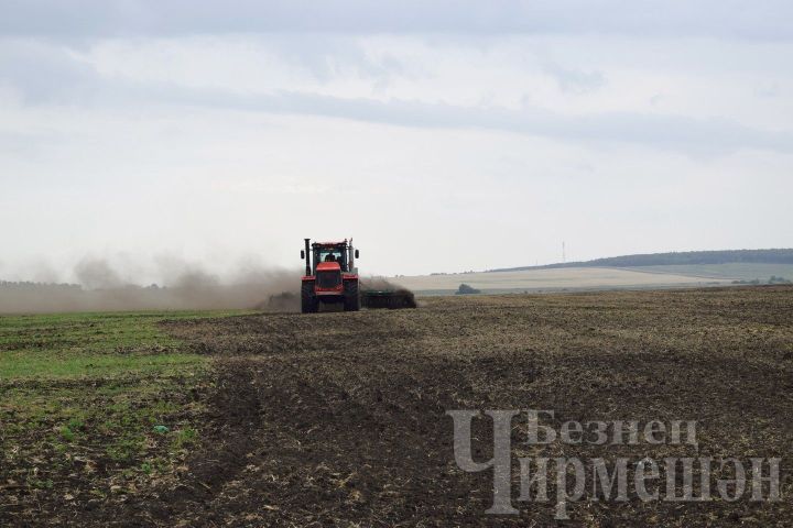 Чирмешән районы хуҗалыкларында кырларның яртысы туңга сөрелгән