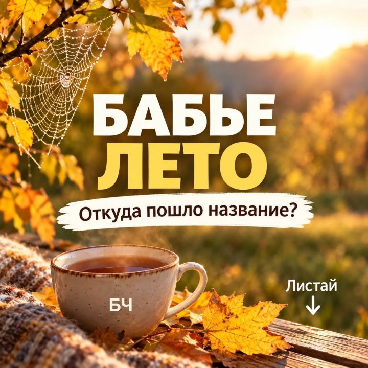 Бабье лето: откуда взялось это название и при чем тут змеи?