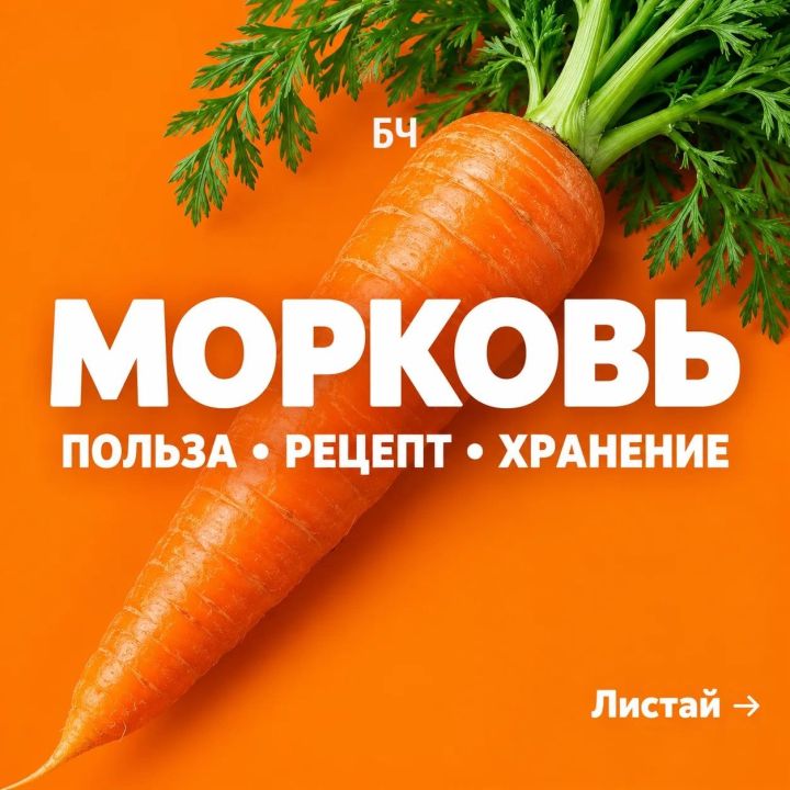 Тёплый оттенок пользы: гид по моркови в удобных карточках